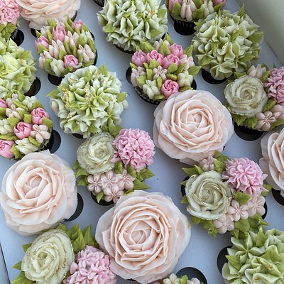 24 pack standard Size