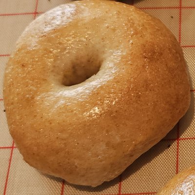 Plain Sourdough Bagels 