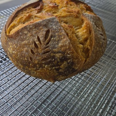 Pumpkin Flavored Sourdough 