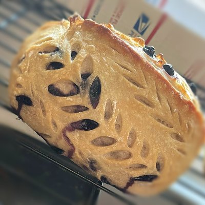 Blueberry Lemon Sourdough 