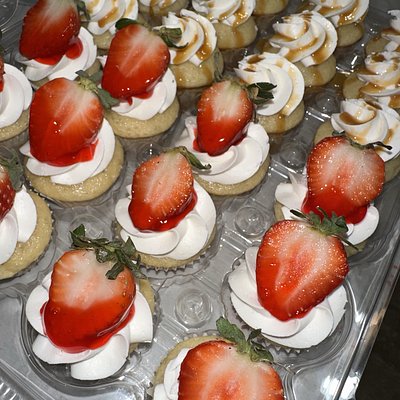Mini Cupcakes 