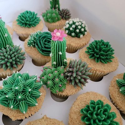 Succulents