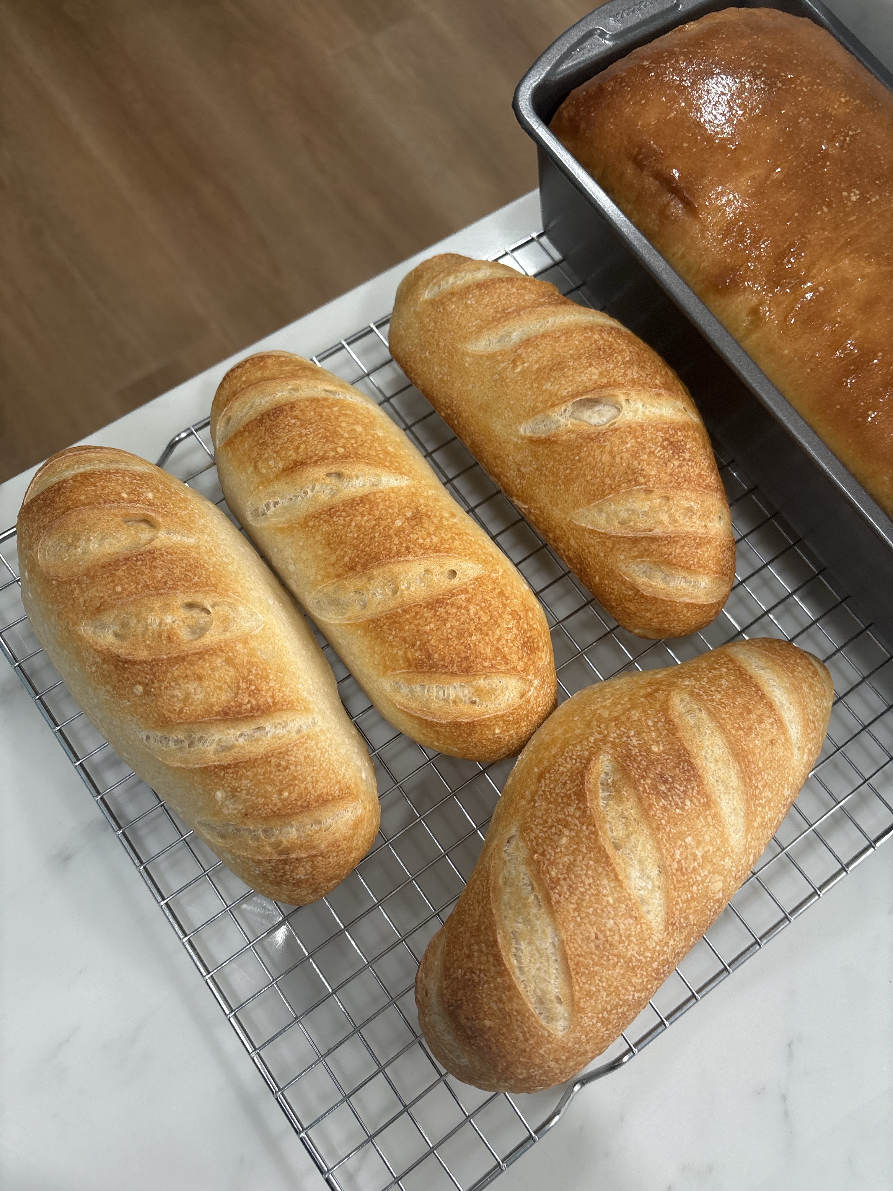Sandwich Rolls
