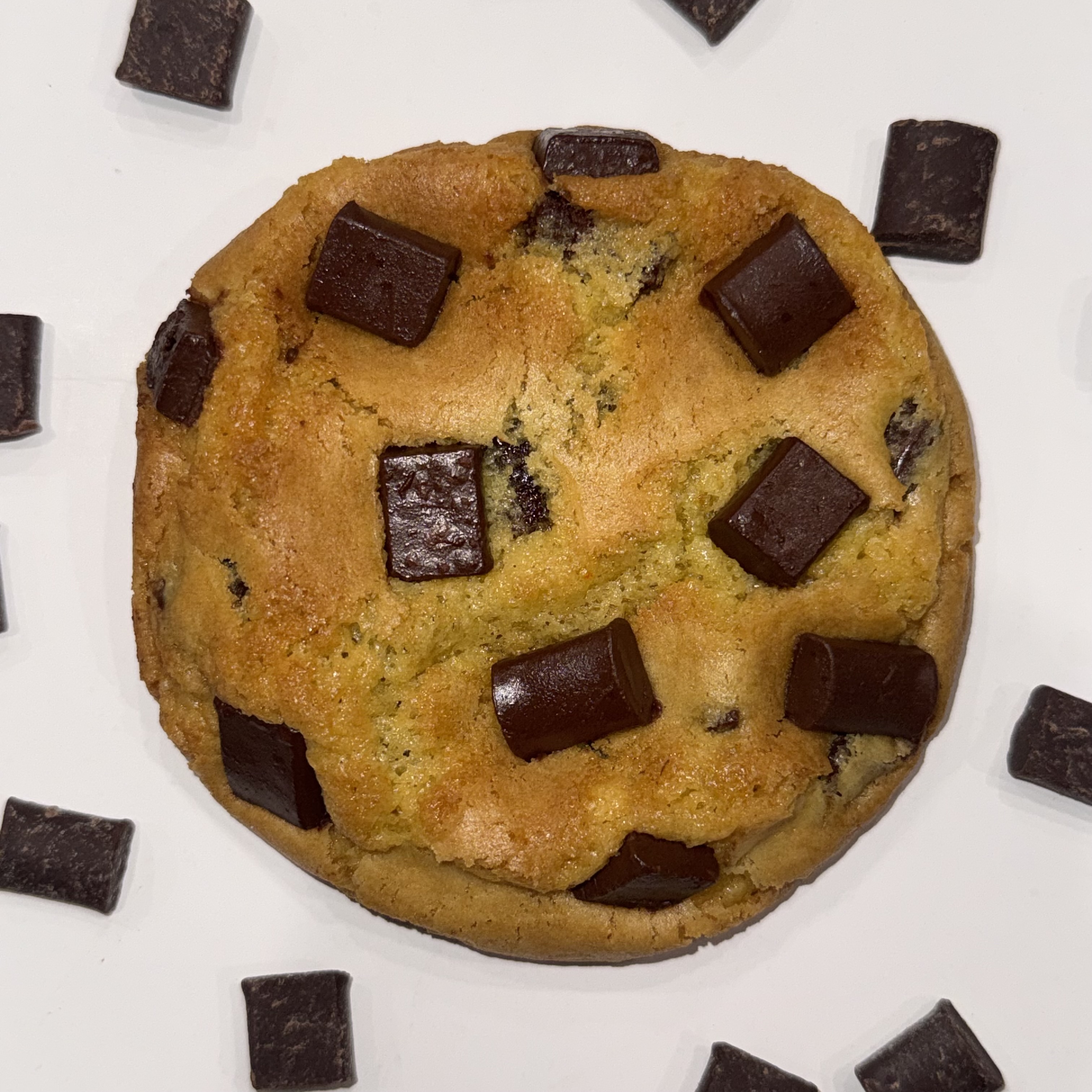 Chocolate Chip