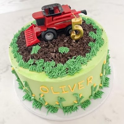 Two Layer Kids Cake