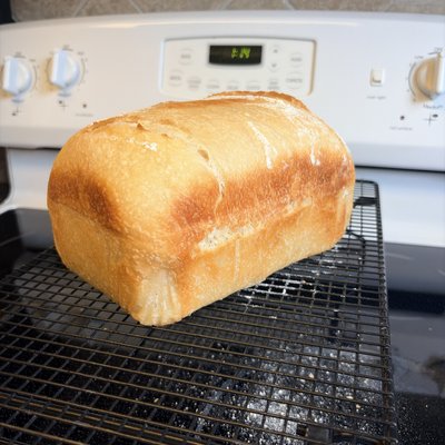 Plain Sourdough Sandwich Loaf 