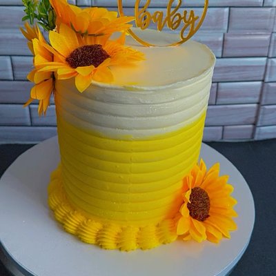 6in. Round Cakes 