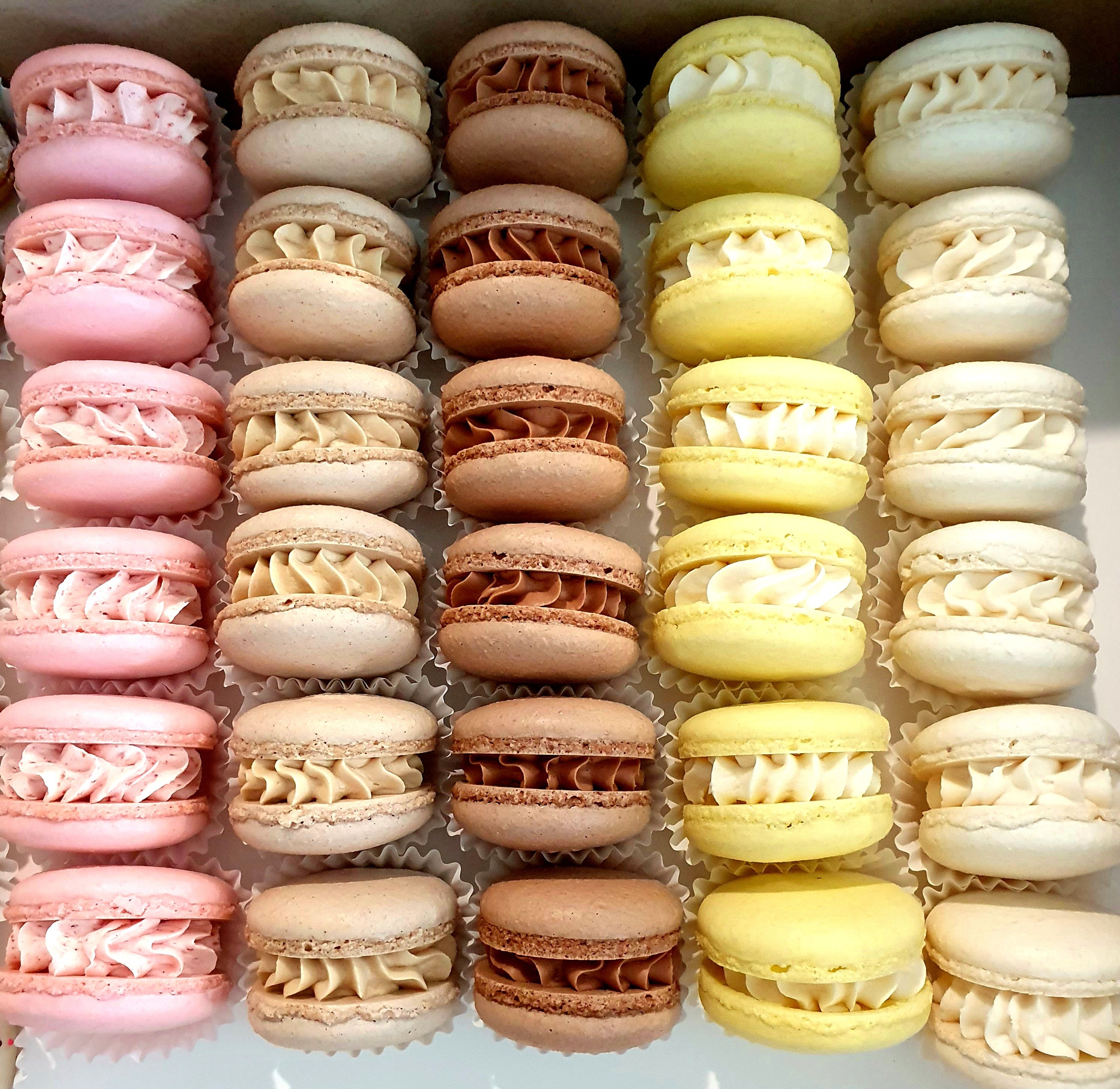 Macaron Party Pack 🥳 