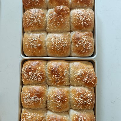 Sourdough Brioche Dinner Rolls - Pack of 6