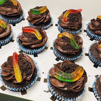 Cupcakes By The Dozen 