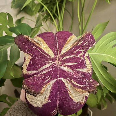 Butterfly Sourdough Loaf