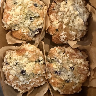 Wild Blueberry Sourdough Muffins 