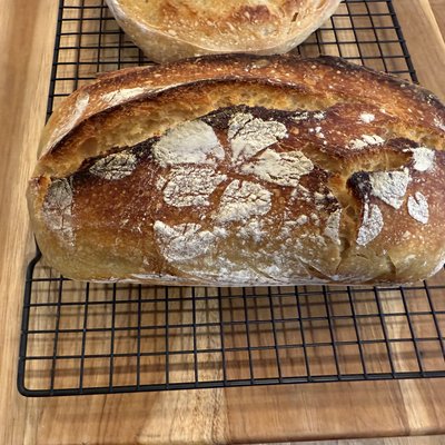 Regular Sourdough Loaf - Plain