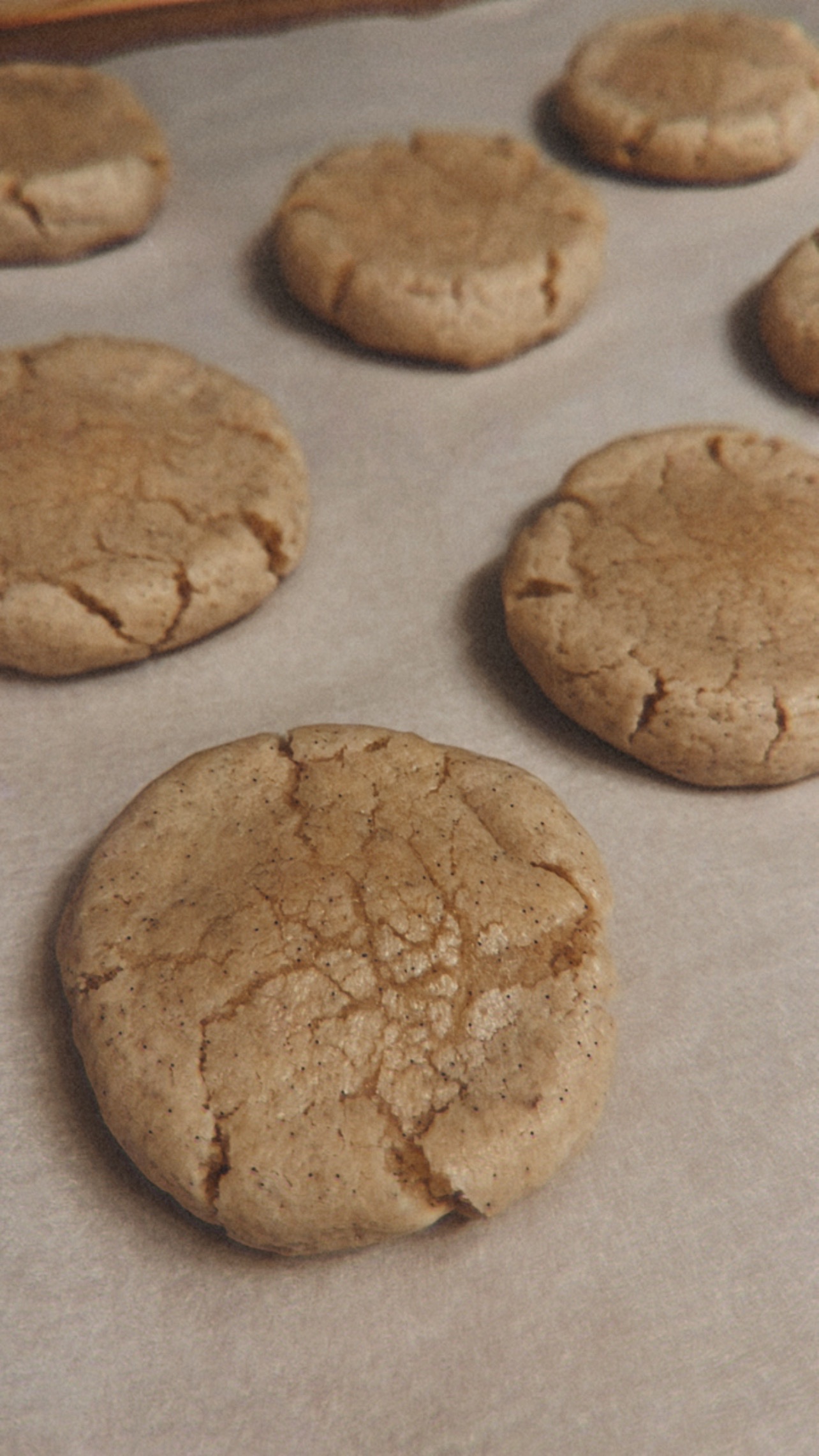 Vanilla Bean Cake Cookies 