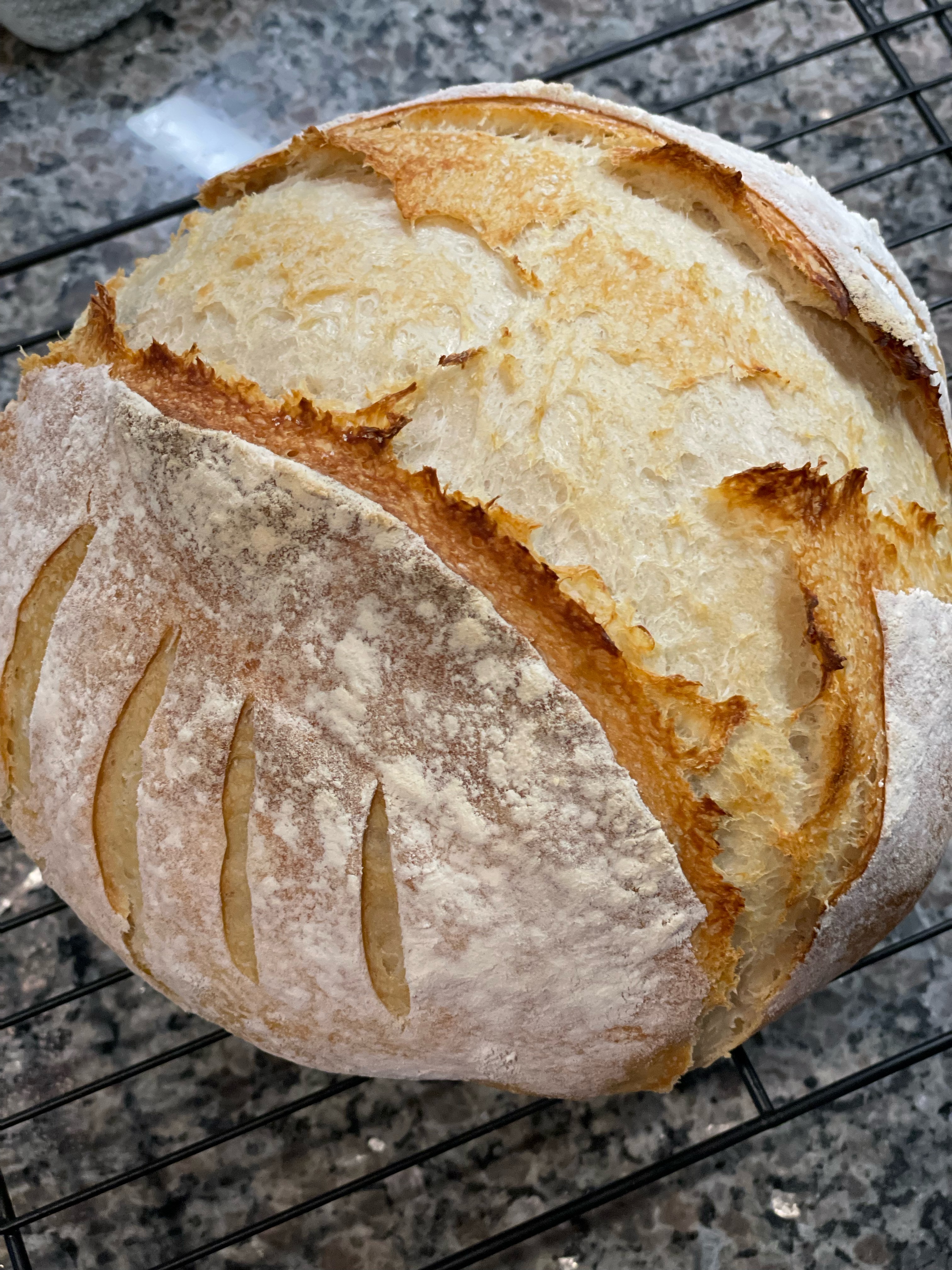 Sourdough Loaf