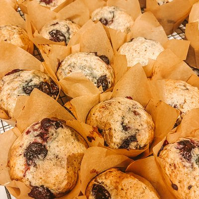 Blueberry Sourdough Muffins 