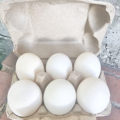 Fresh Pekin Duck Eggs