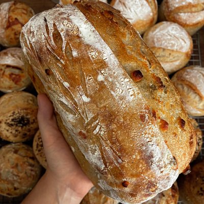 Dill & Havarti Cheese Artisan Loaf