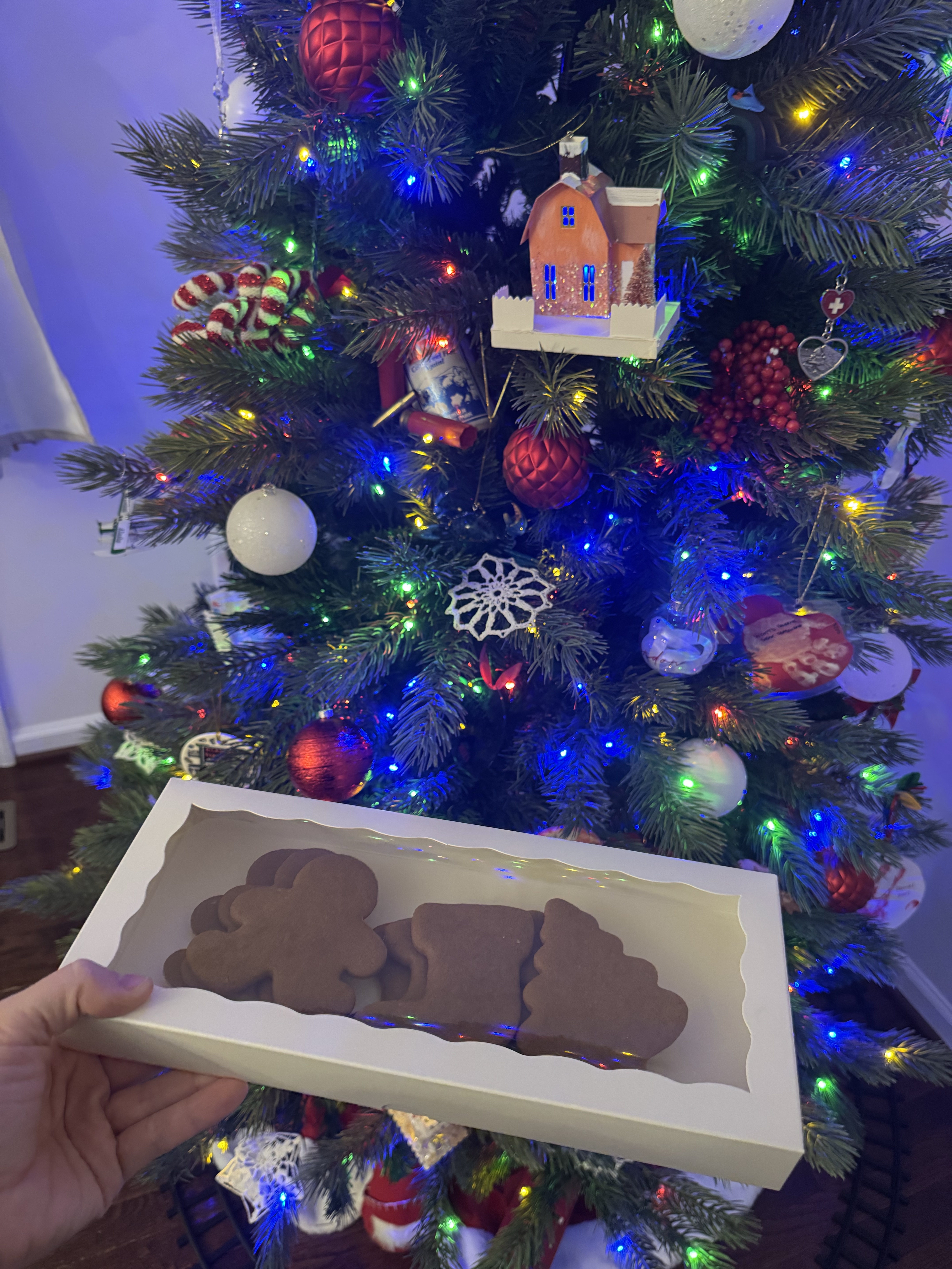Gingerbread Minis Kit