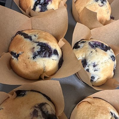 Large Blueberry Muffin