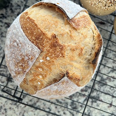 Sourdough Boule - 2 For $20