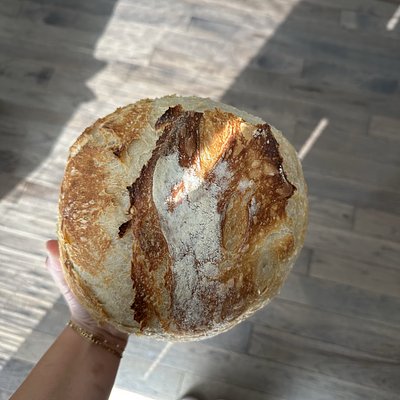 Classic Sourdough 