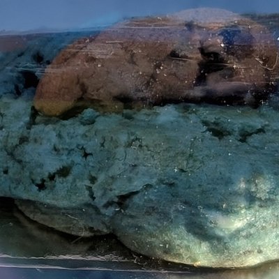 Cookie Monster Cookie