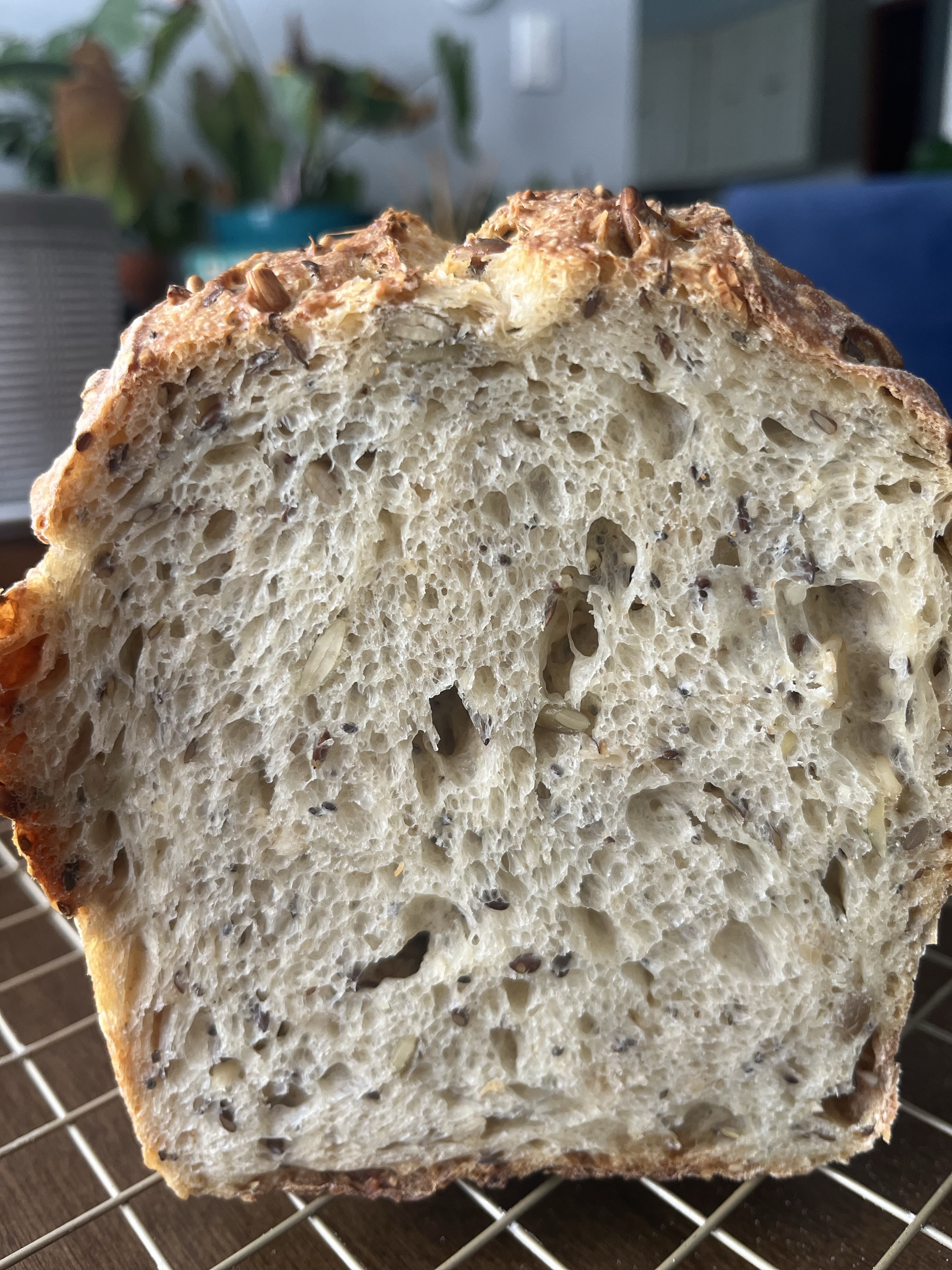 Seeded Sourdough Bread 