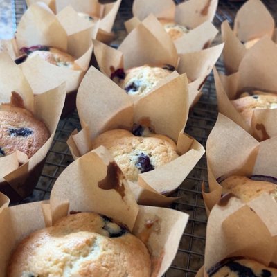 Blueberry Sourdough Muffins