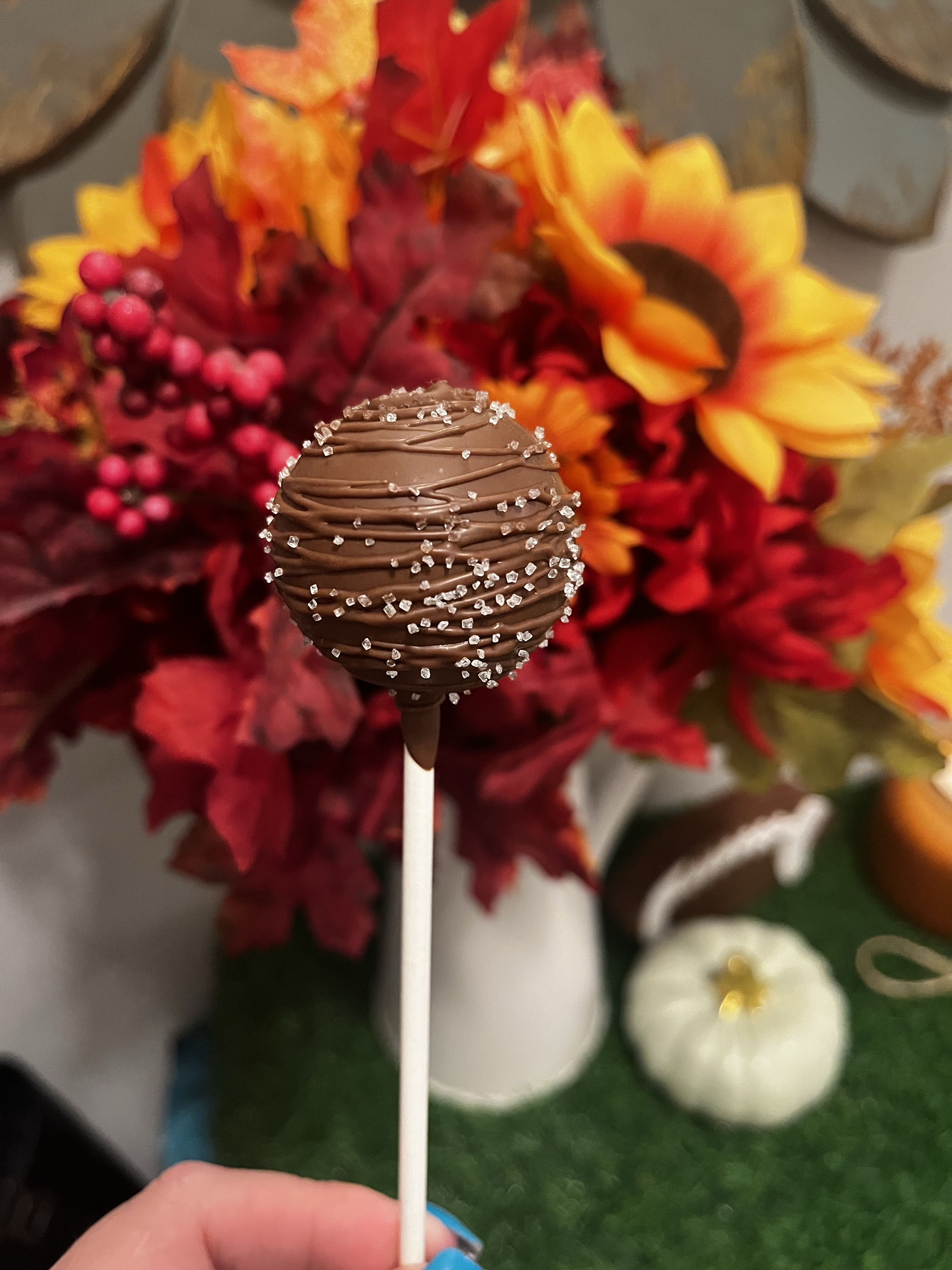 Double Chocolate Chip Cakepops 