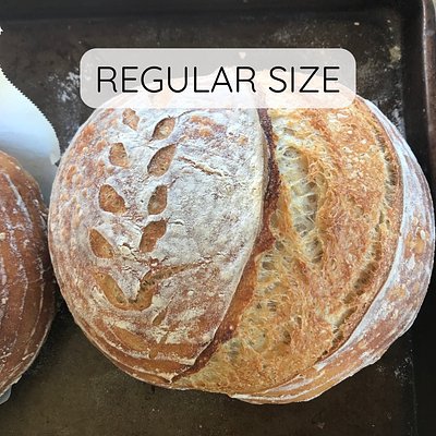Classic Sourdough Regular