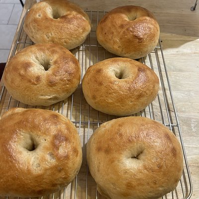 (4) Original Sourdough Bagels 