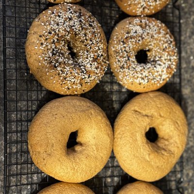 Sourdough Bagels