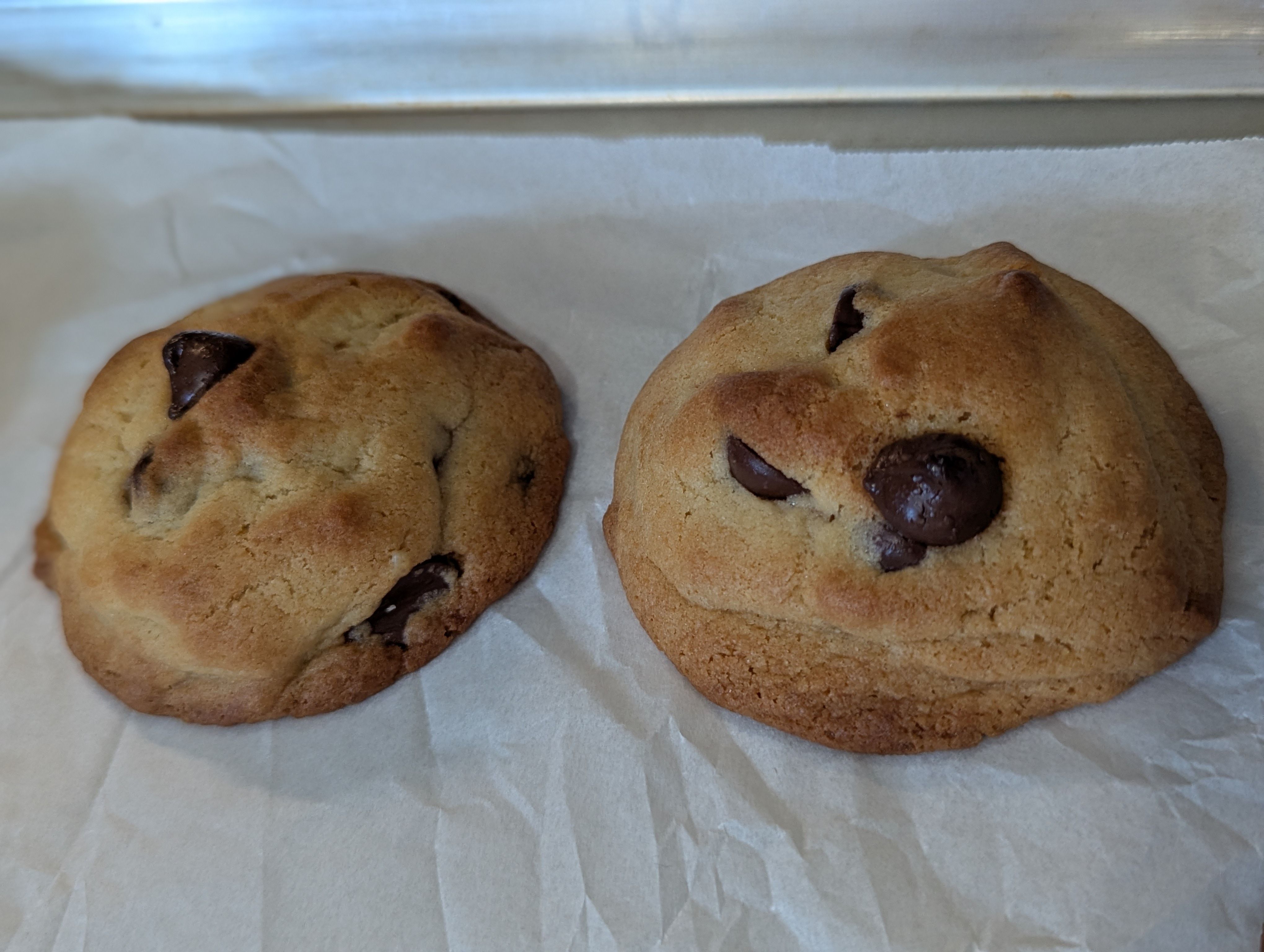 Wiz Chocolate Chip Cookies 