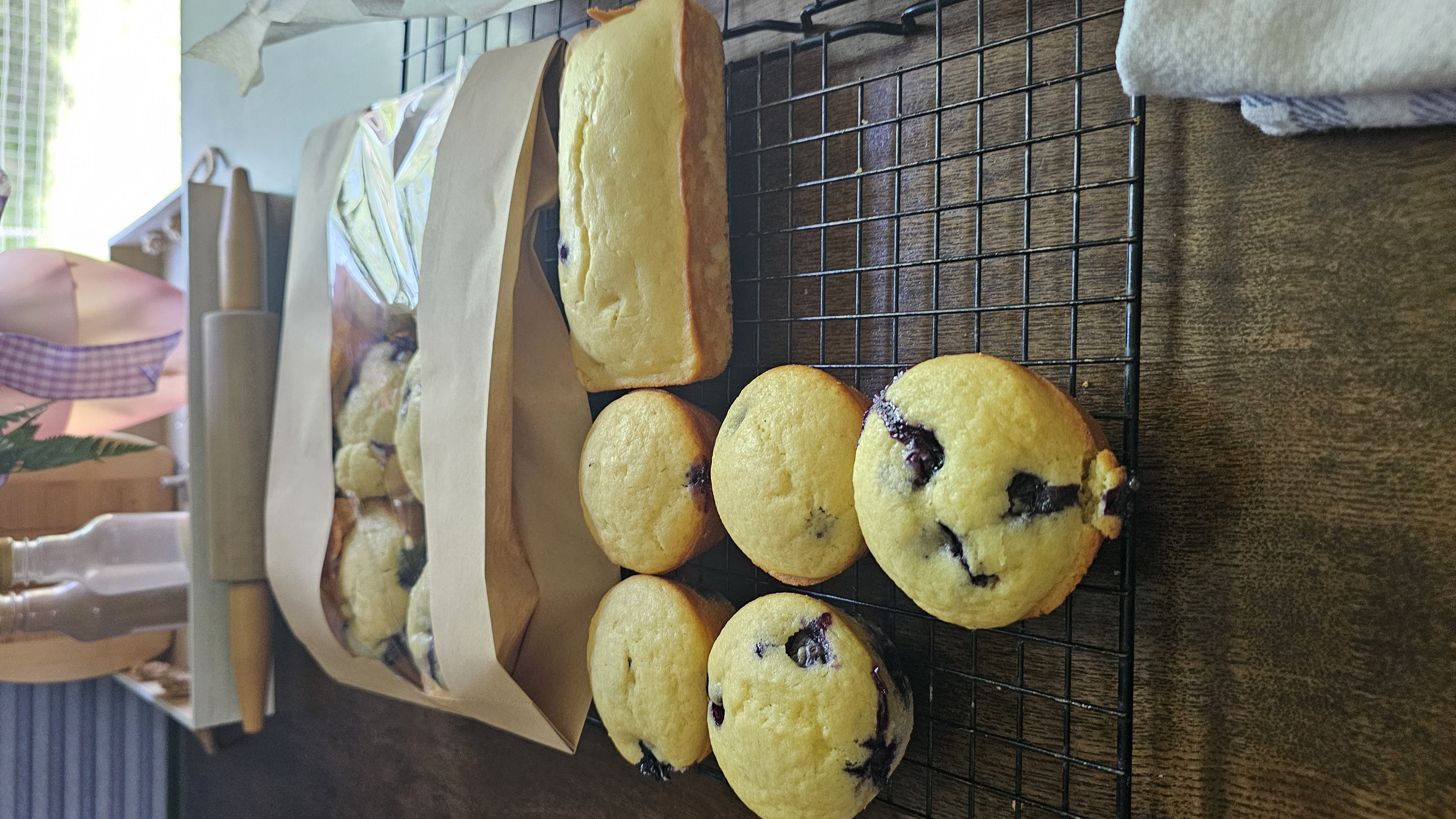 Blueberry Muffins