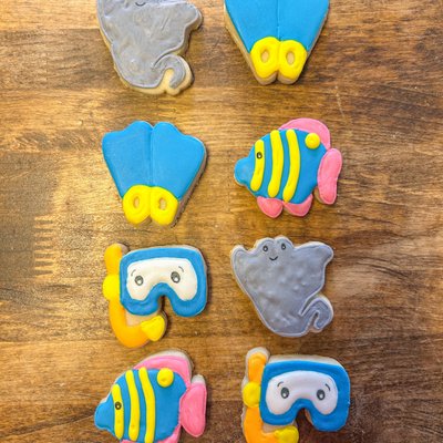 Ocean Mini 4 Pack 