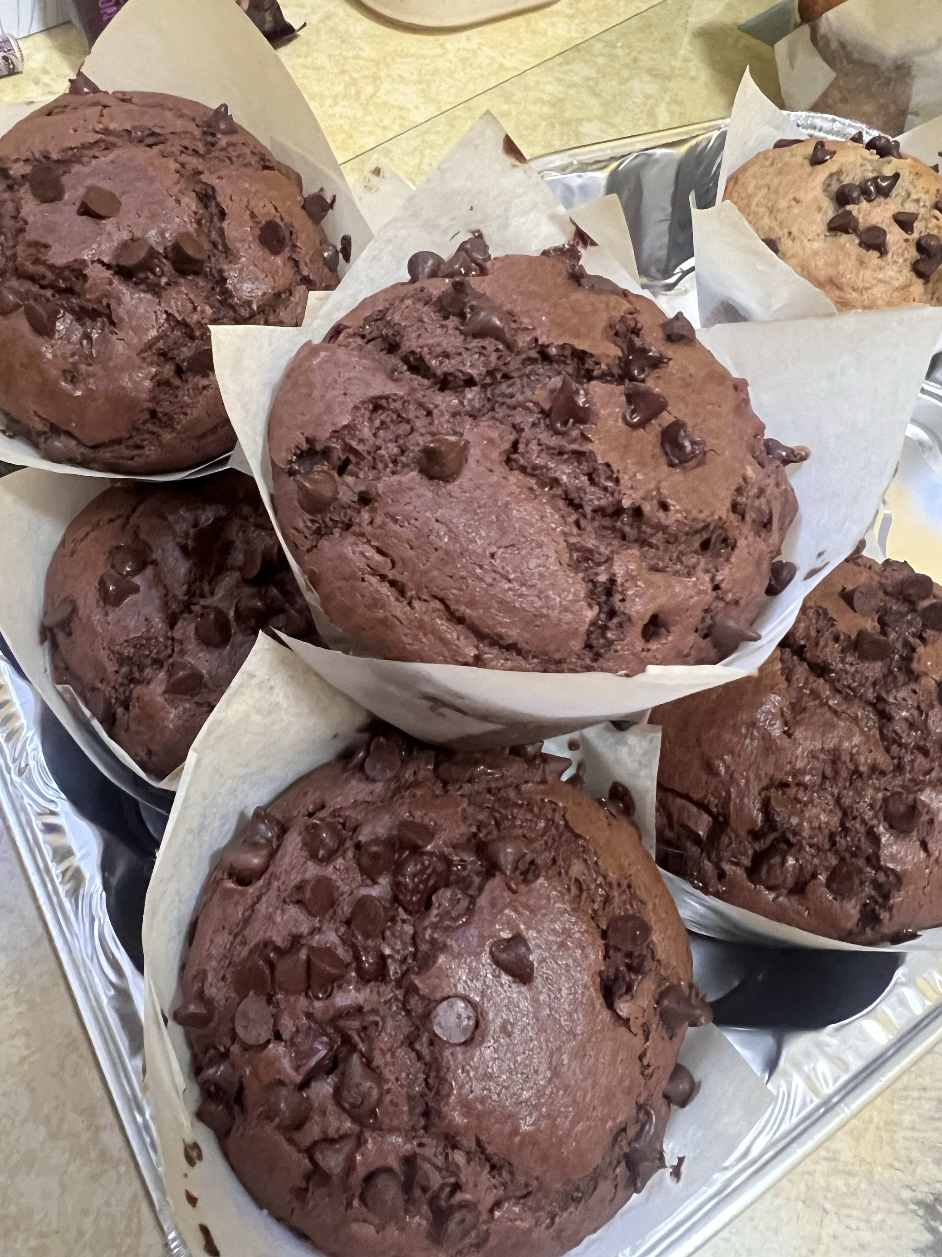 Sourdough Double Chocolate Muffins