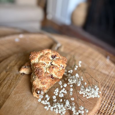 Cranberry Sourdough Scones (2)