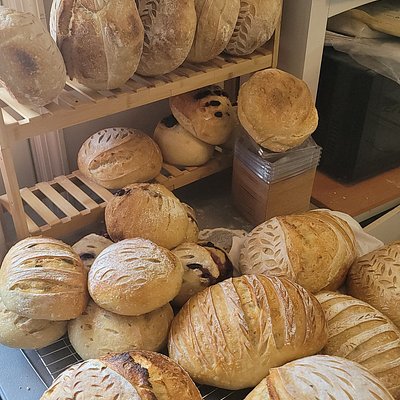 Sourdough Boule Variations