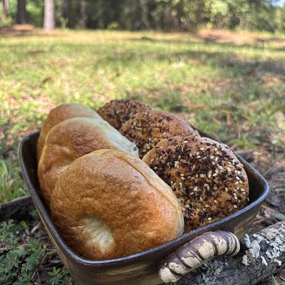 Plain Bagels 