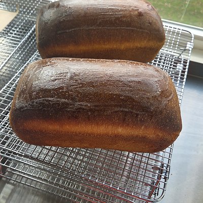 Sourdough Sandwich Bread 