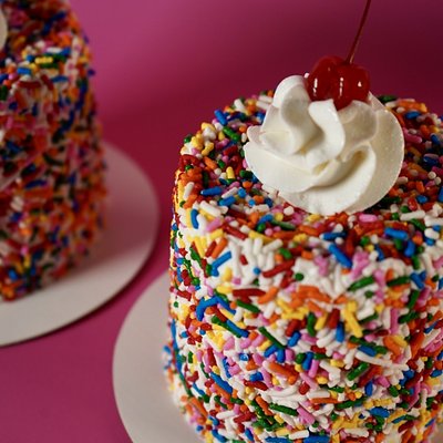 The Sprinkle Mini (4 Inch, Feeds 1 to 2)