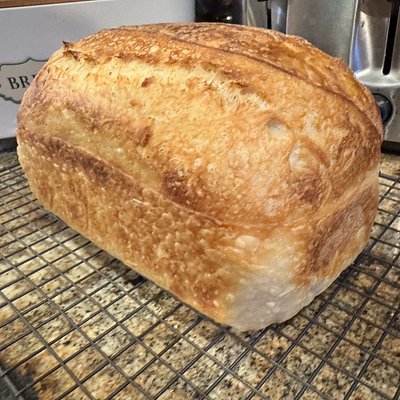 Sourdough Loaf