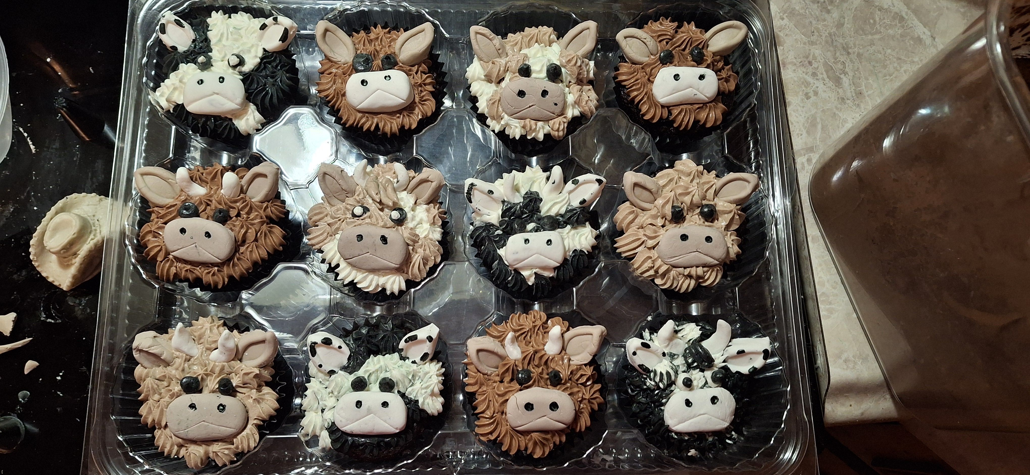 Cupcakes 