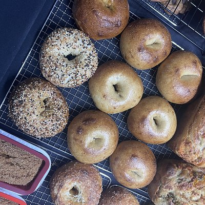 Sourdough Bagels- Plain (4ct)