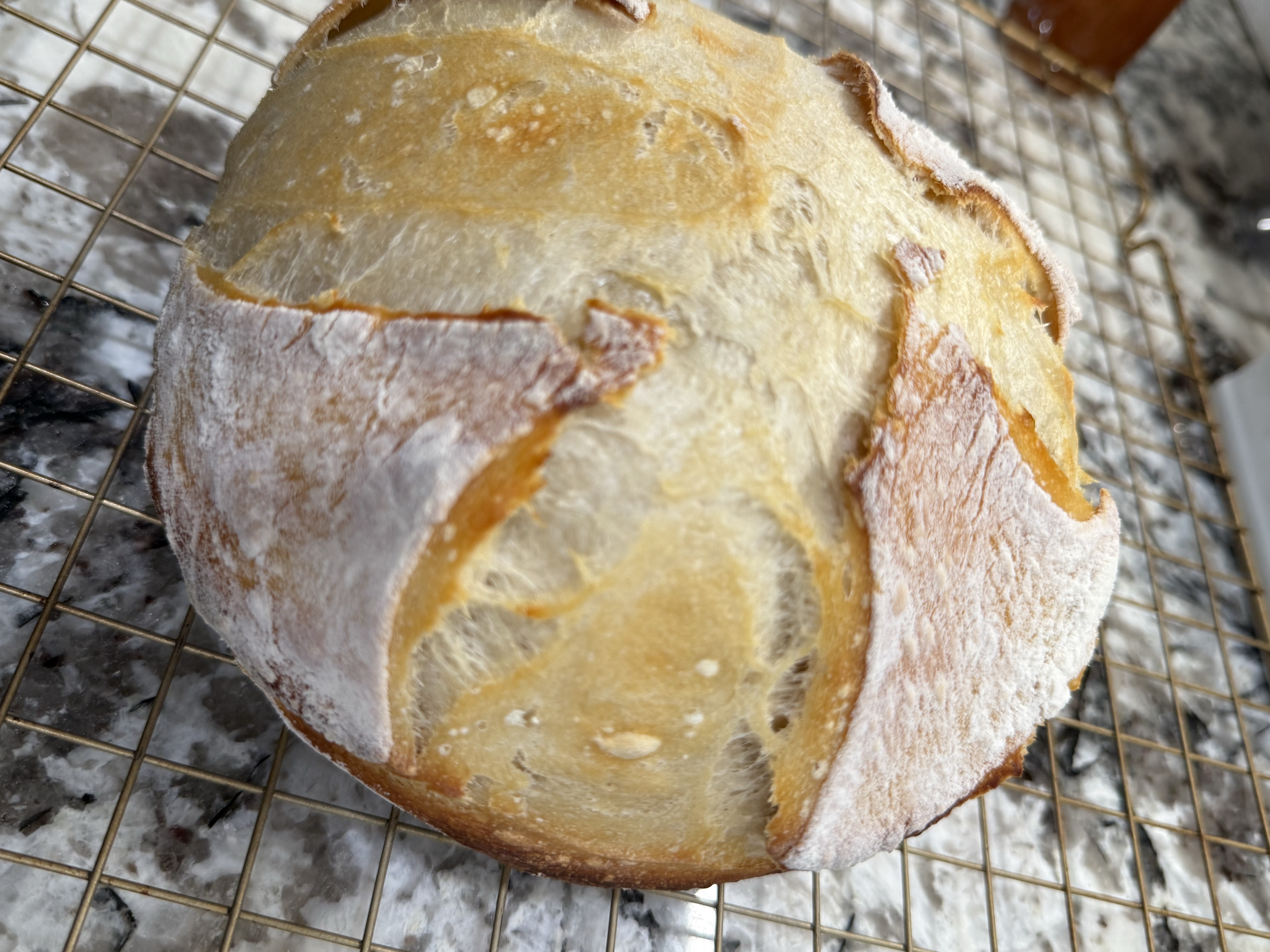 Sourdough 