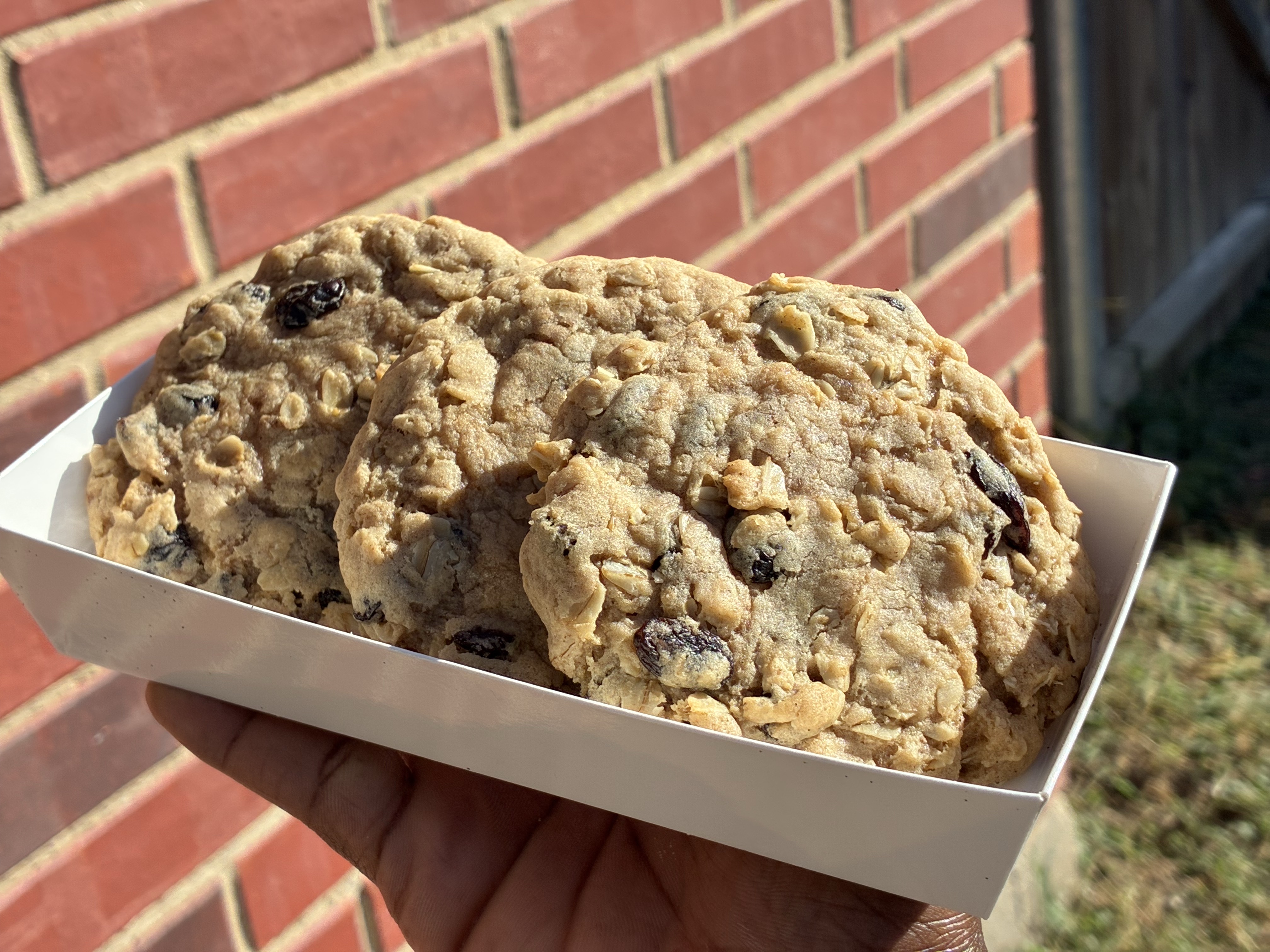 Oatmeal Raisin 