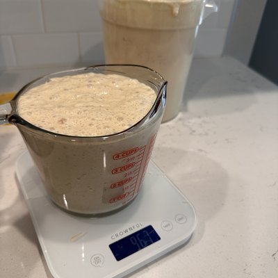 Active Sourdough Starter