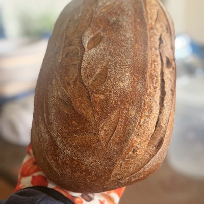 Sourdough Whole wheat Loaf