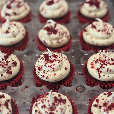 REG. DOZEN CUPCAKES 